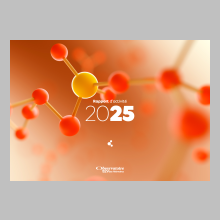 Rapport d'activité 2025