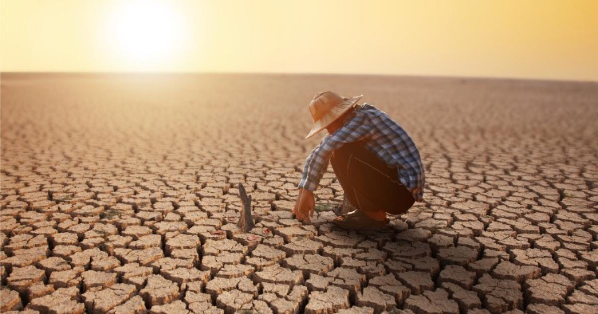 Ce que l’inaction climatique pourrait nous coûter 