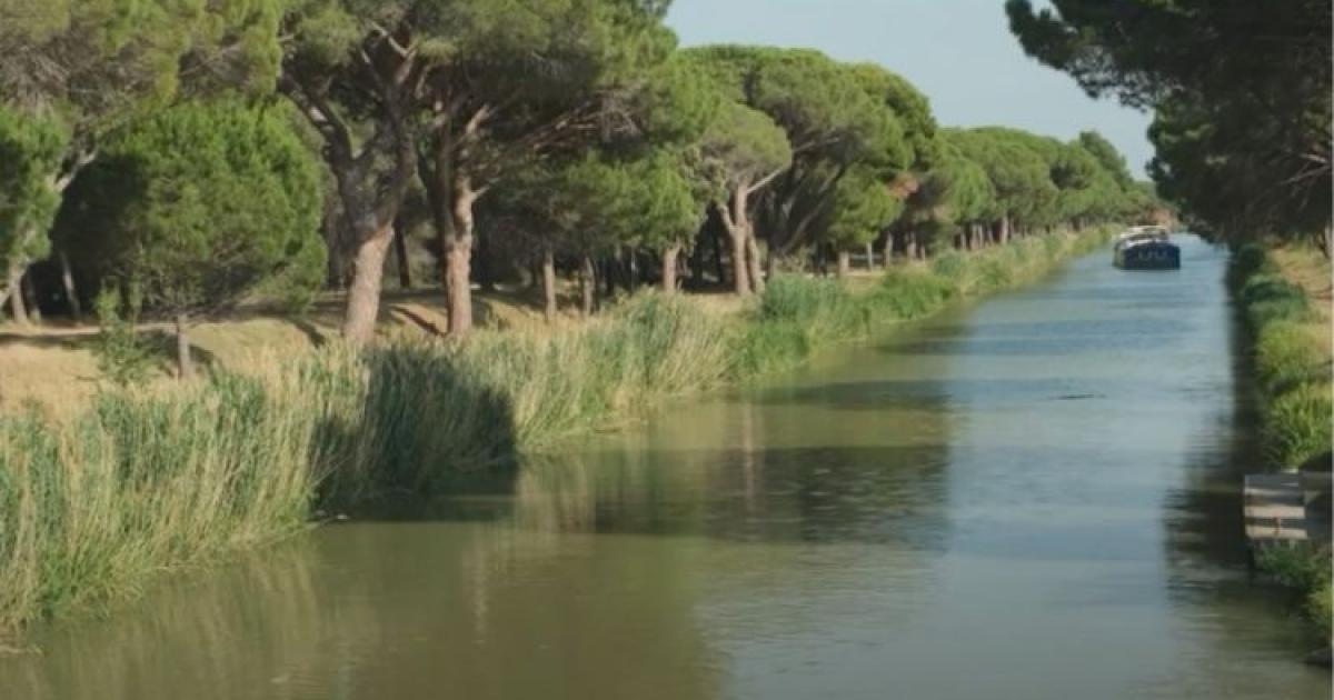 Mutuelles AXA e VNF: una partnership fruttuosa per la biodiversità