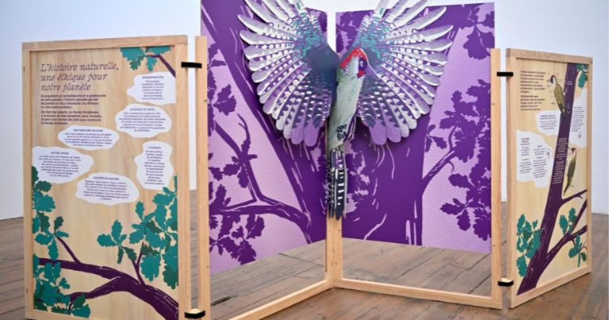 pop-up-museum-national-