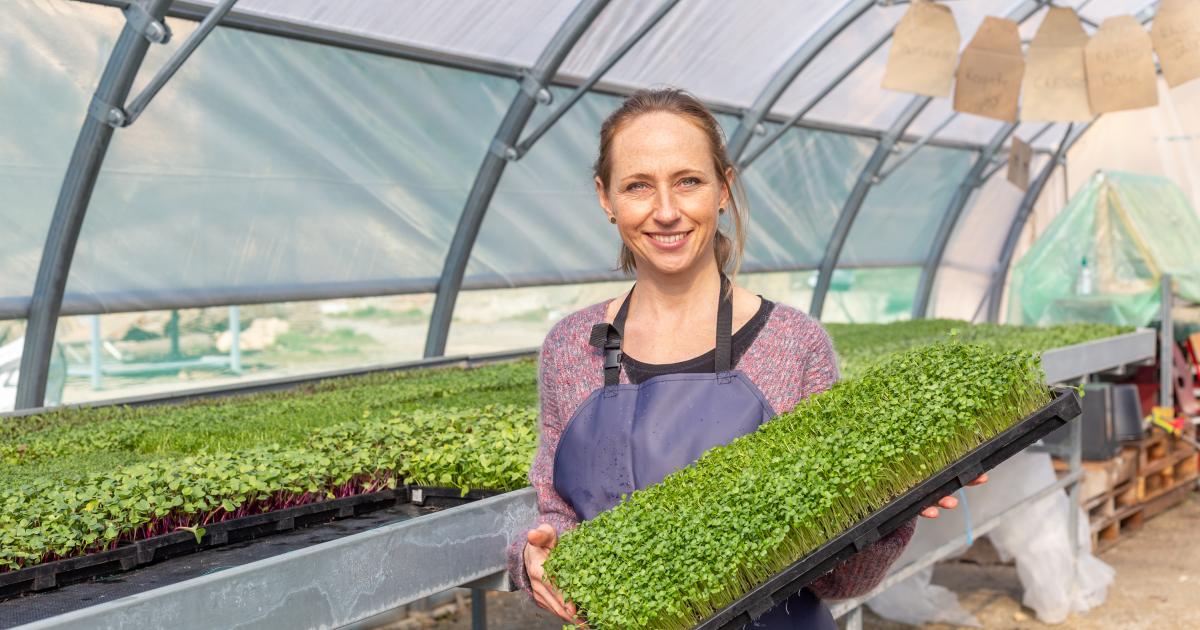 Le Paysan Urbain Marseille : insérer et sensibiliser via l’agriculture