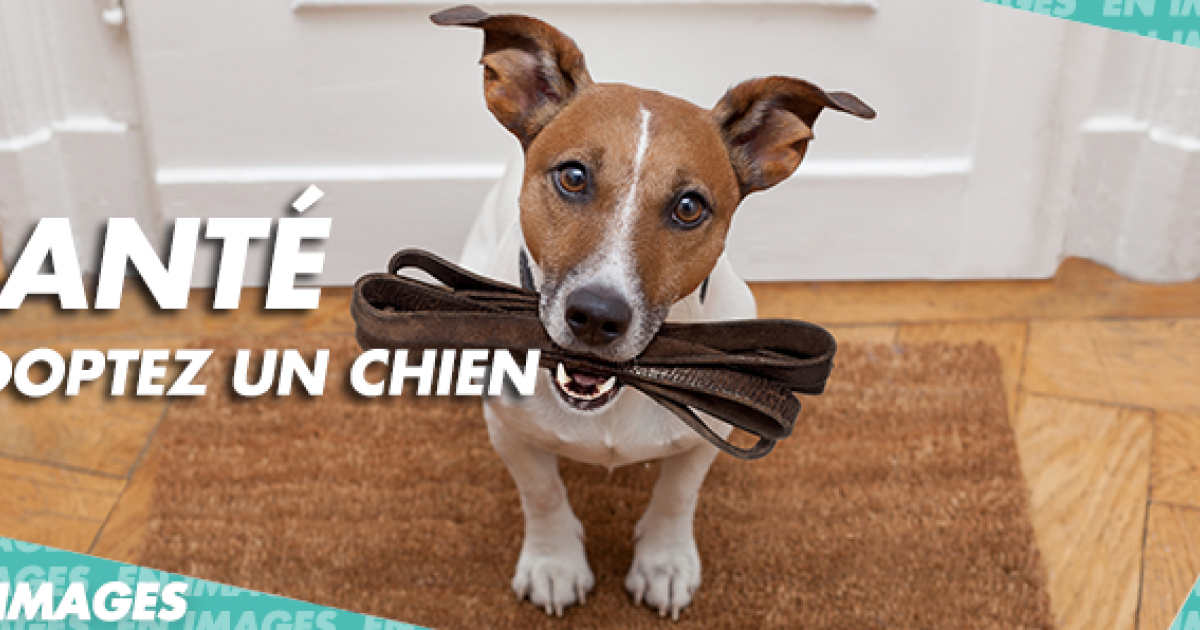 [EN IMAGES] Adopter un chien, c’est bon pour la santé