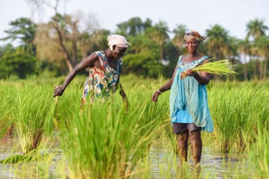 Le Collective Minds Climate Council de Foundation S fait résonner les voix des premiers concernés par l’impact sanitaire du changement climatique. Crédit photo : DR.