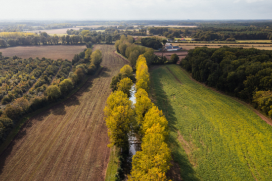 Le Fonds Maif pour le vivant a contribué à financer des travaux de restructuration de la rivière Lathan, dans le Maine-et-Loire. Crédit : David Priou / Atypix / Maif