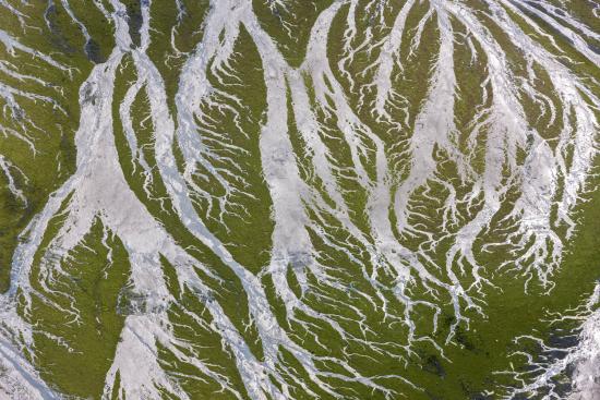 Algues vertes en baie de Saint-Brieuc, Côtes-d’Armor, France (48°32’ N - 2°40’ O). © Yann Arthus-Bertrand