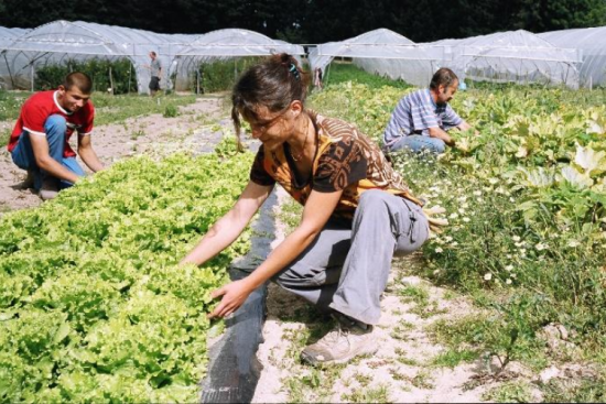 Crédit photo : Réseau Cocagne 