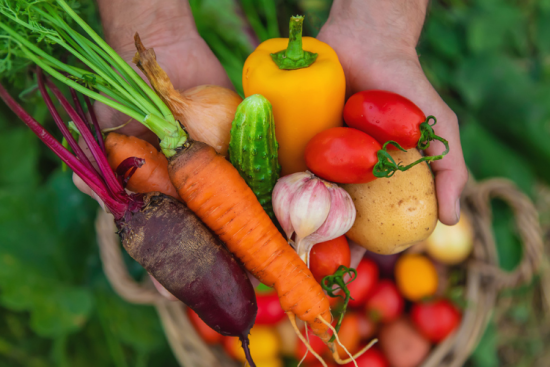 Les fruits et légumes de saison font partie de la liste des produits recommandés par le Programme national nutrition santé. Crédit : iStock / Yana Tatevosian