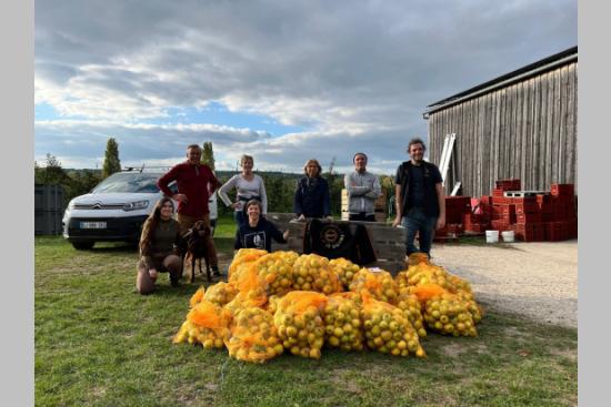 Glanage de pommes réalisé avec l'association ANDES 