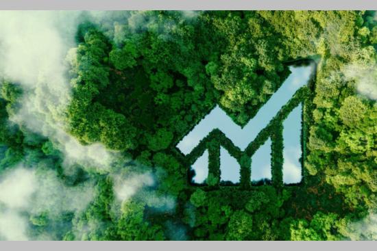 Crise du net zéro : la finance hésite, la science persiste