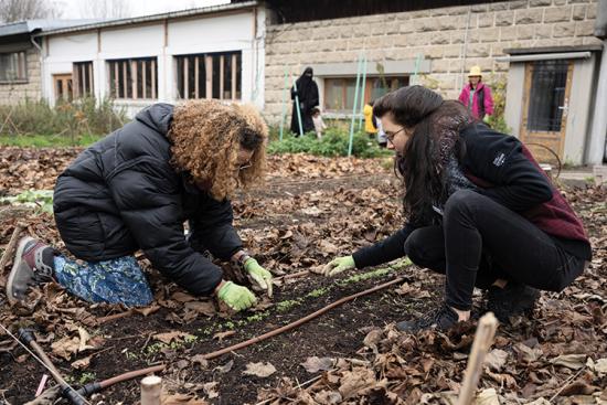 Projet « Du potager à la marmite », à Bondy (93) - Photo : Mary-Lou Mauricio