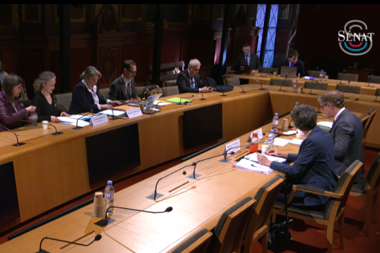 L'audition du Centre français des fonds et des fondations (CFF). Crédit : Sénat.