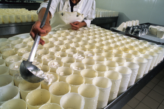 Les ventes de lait équitable français ont augmenté de 144 % en volume en un an. Crédit : iStock / dmaroscar