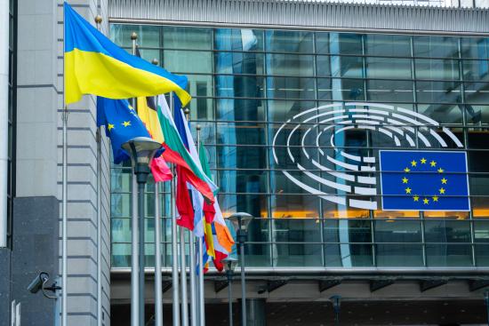 Un groupe de contrôle sur le financement des ONG, dans le viseur de Bloom, existe au Parlement européen depuis novembre 2025. Crédit : iStock.