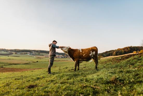 Le projet de loi d’urgence agricole doit être discuté en commission mixte paritaire le 16 juillet. Crédit : Simon Skafar / iStock.