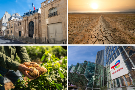 Des événements importants pour l'environnement et la solidarité se sont déroulés cet été. Crédit : iStock.