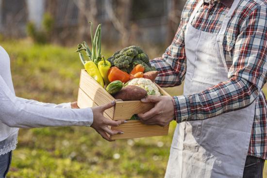 La plupart des Amap organisent la vente en circuit court de légumes. Crédit : iStock/ljubaphoto.