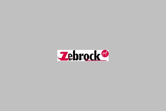 Bienvenue à Association Zebrock
