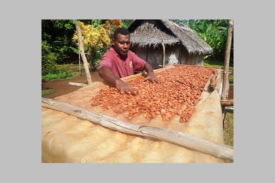 Salon du chocolat : Moli en lice pour les Cocoa Awards