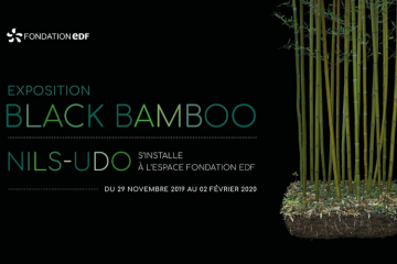 Black Bamboo : une installation de NILS-UDO du 29 novembre 2019 au 2 février 2020 à la Fondation Groupe EDF
