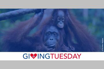 A l’occasion du Giving Tuesday, participez à notre grand quiz sur la biodiversité !