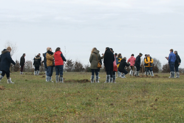 « Ensemble pour le climat » revient avec des plantations citoyennes