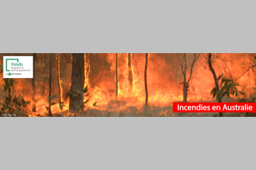 BNP Paribas se mobilise pour les victimes des incendies en Australie