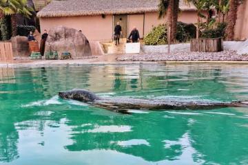 Rewild rachète le zoo de Pont-Scorff pour en faire un centre de réhabilitation