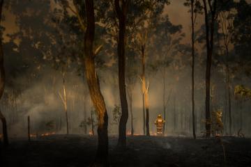 Face aux incendies en Australie, la générosité et la solidarité s’organisent