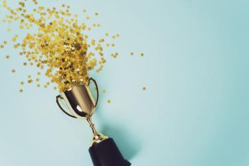 Qui sont les nouveaux « fellows » Ashoka 2020 ?
