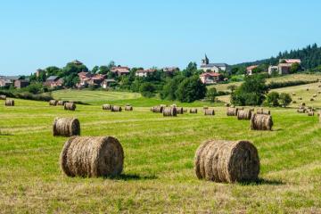 Bouge ton coQ : un mouvement pour soutenir les initiatives rurales