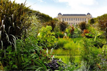 Crédit Agricole SA, mécène majeur du Muséum National d’Histoire Naturelle