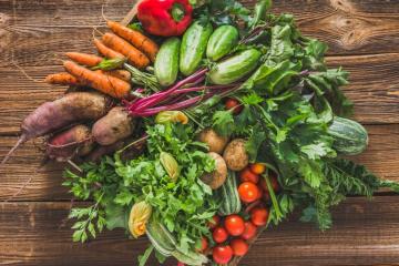 À la cantine, ces enfants mangent les légumes bio de la ferme municipale