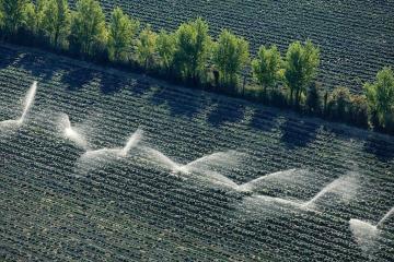 Covid-19 – « Ce que nous révèle la crise actuelle sur notre agriculture et notre alimentation » d’Anne-Claire Vial, Présidente d’Arvalis-Institut du Végétal et membre d’IAGF