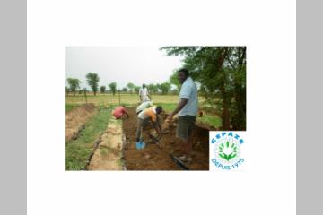 Le CEPAZE forme les producteurs maliens à la permaculture