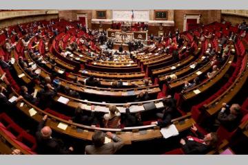 Assemblée Nationale : vote définitif de la PPL sur l'accompagnement des familles après le décès d'un enfant