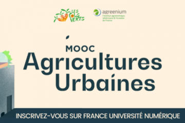 Se former en ligne à l’agriculture urbaine : la Fondation Carrefour soutient le MOOC de l'association Les Cols verts