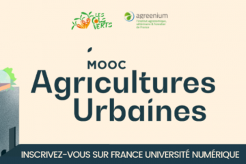 Se former en ligne à l’agriculture urbaine