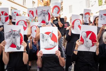 Happening lors de la Journée mondiale contre le spécisme, à Lausanne en 2019. | Crédit photo : Théo Héritier.