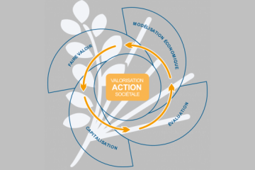 ODD 17 : De la (Re)connaissance à la valorisation ! 