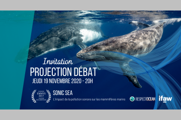 Invitation Projection débat autour du documentaire "Sonic Sea"