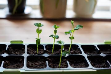 FarmIA, un projet de permaculture connectée récompensé par la Fondation Sopra Steria-Institut de France