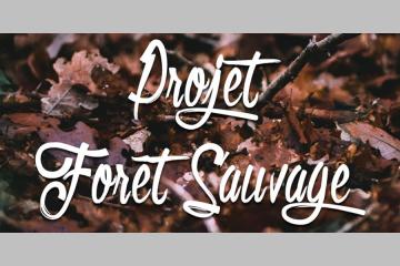 Un collectif citoyen lance un appel aux dons pour protéger une forêt