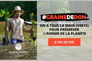 Graine de don, la campagne de fin d’année de Planète Urgence