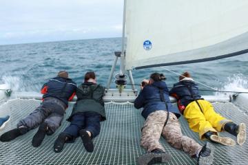 Les aventures maritimes de Tous en Mer