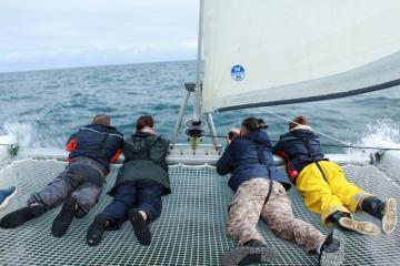 Les aventures maritimes de Tous en Mer