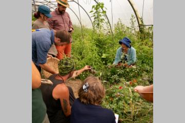 Permaculture et agroécologie : une différence ?