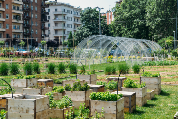 6 associations engagées pour une alimentation durable