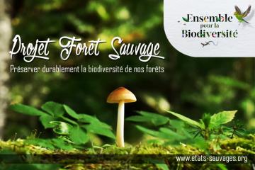 Le projet Forêt Sauvage sélectionné par le collectif Ensemble pour la Biodiversité