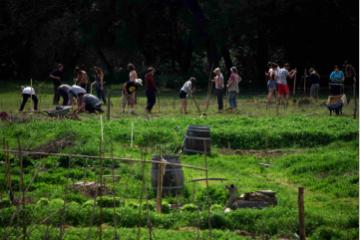  3 manières d’engager votre collectivité dans la transition agroécologique