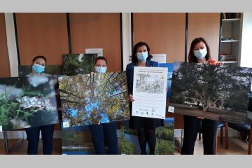 remise de la série "nature bienveillante" au centre hospitalier de Meulan (78)